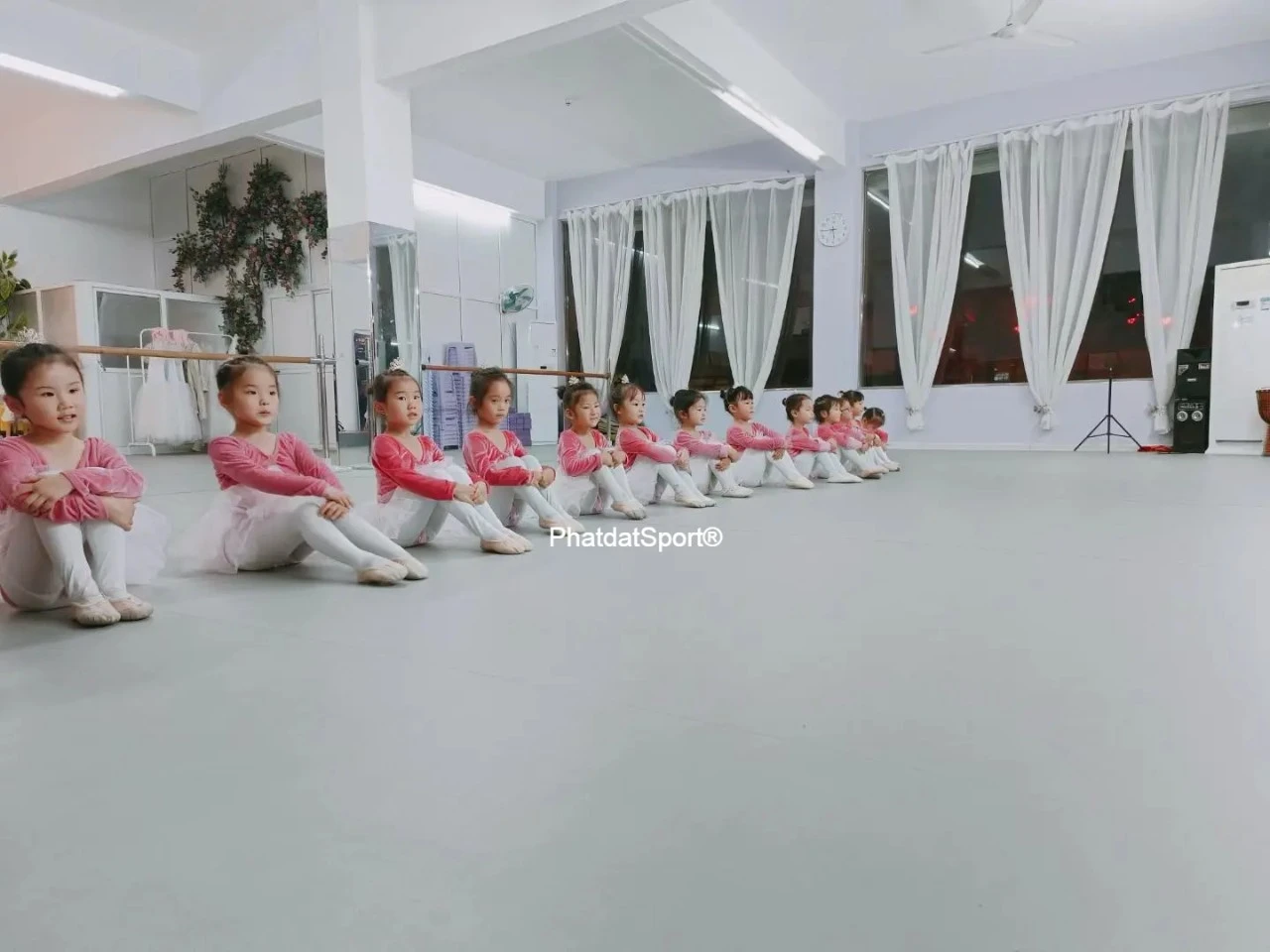 Thảm Vinyl Sàn Múa - Ảnh 2